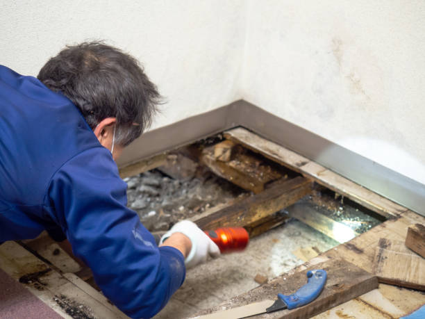 Best Post-Remediation Services in West Park, NJ
