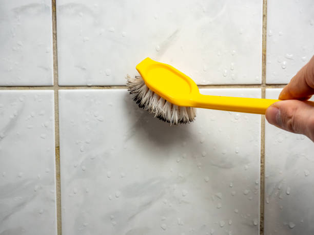 Best Bathroom Mold Remediation in West Park, NJ