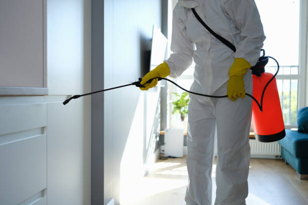 Best Crawl Space Mold Remediation in West Park, NJ