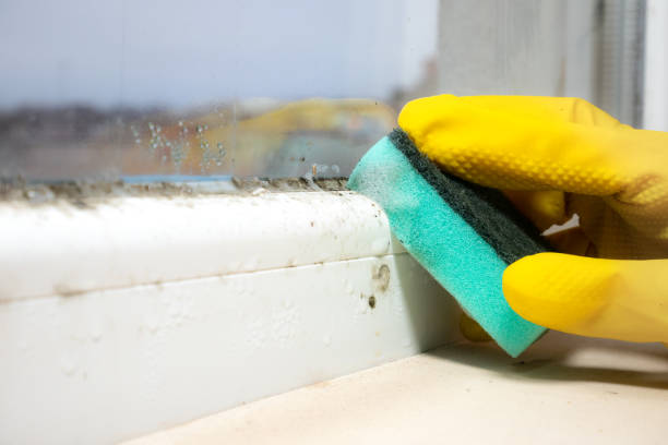 West Park, NJ Mold Remediation Company